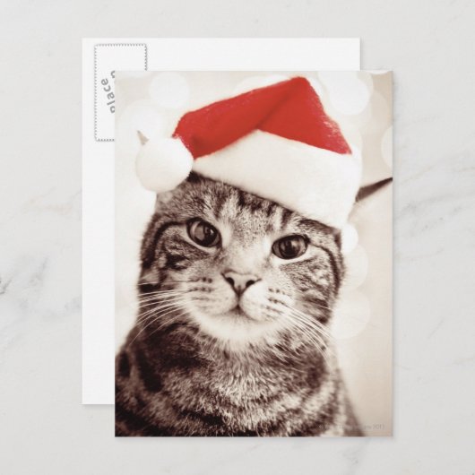 Cartes Pour Fêtes Annuelles Chat tigré domestique utilisant le casquette rouge (Devant / Derrière)