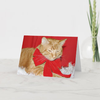 Cartes Pour Fêtes Annuelles Chat tigré orange dans l'arc