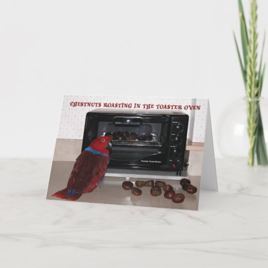 Cartes Pour Fêtes Annuelles Châtaignes (Devant)