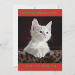 CARTES POUR FÊTES ANNUELLES CHATON BLANC PERSONNALISÉ