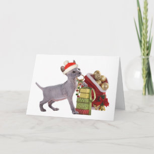 Cartes Pour Fêtes Annuelles Chaton ChristmasCards de Sphynx