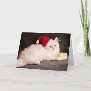 Cartes Pour Fêtes Annuelles Chaton comme Père Noël