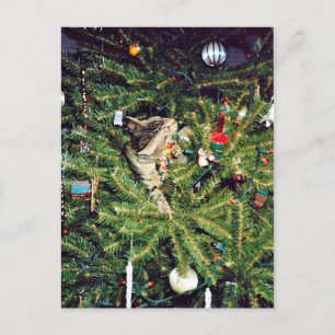 Cartes Pour Fêtes Annuelles Chaton dans l'arbre de Noël