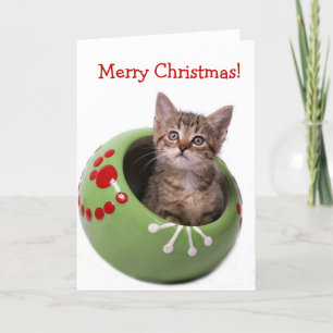 Cartes Pour Fêtes Annuelles Chaton de Joyeux Noël