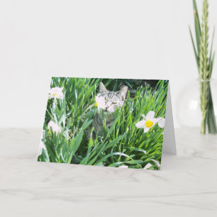 CARTES POUR FÊTES ANNUELLES CHATON DE PÂQUES