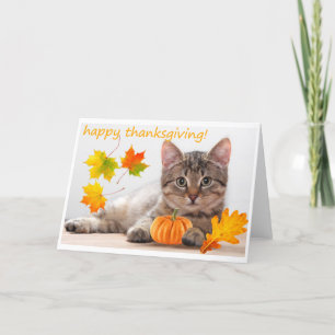 Cartes Pour Fêtes Annuelles Chaton de thanksgiving