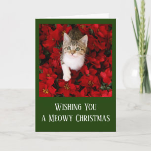 Cartes Pour Fêtes Annuelles Chaton minuscule entouré par les poinsettias