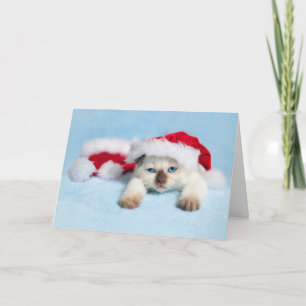 Cartes Pour Fêtes Annuelles Chaton siamois : Noël Kitty