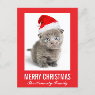 Cartes Pour Fêtes Annuelles Chaton utilisant un casquette de Père Noël