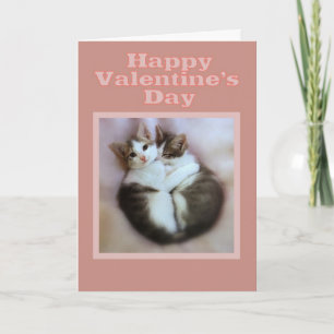 Cartes Pour Fêtes Annuelles Chatons dans la heureuse Sainte-Valentin d'amour