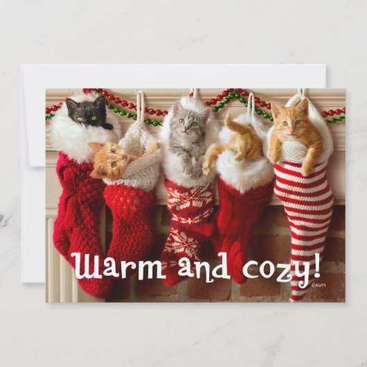 Cartes Pour Fêtes Annuelles Chatons faits sur commande de Noël de la photo | (Devant)