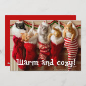 Cartes Pour Fêtes Annuelles Chatons faits sur commande de Noël de la photo | (Devant / Derrière)