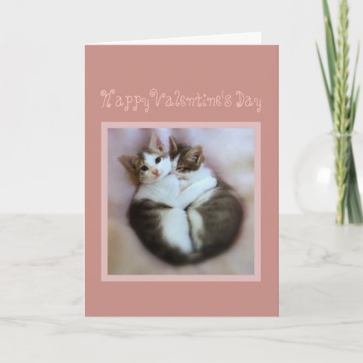 Cartes Pour Fêtes Annuelles Chatons Heureuses Saintes-Valentin amoureux (Devant)