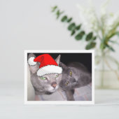 Cartes Pour Fêtes Annuelles Chats de Noël (Debout devant)