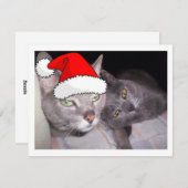 Cartes Pour Fêtes Annuelles Chats de Noël (Devant / Derrière)