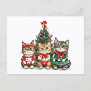 Cartes Pour Fêtes Annuelles Chats de Noël mignons