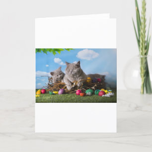 Cartes Pour Fêtes Annuelles Chats de Pâques