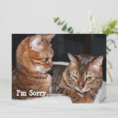Cartes Pour Fêtes Annuelles Chats du Bengale "Désolé......" Salutations (Debout devant)