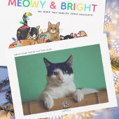 Cartes Pour Fêtes Annuelles Chats et poulets drôles de Noël Photo