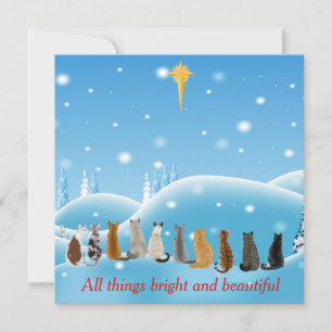 Cartes Pour Fêtes Annuelles Chats Étoile religieuse Toutes les choses Animaux