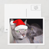 Cartes Pour Fêtes Annuelles Chats gris bleu russe de Noël (Devant / Derrière)