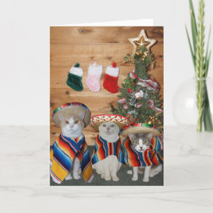 Cartes Pour Fêtes Annuelles Chats/minous drôles Feliz Navidad