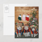 Cartes Pour Fêtes Annuelles Chats/minous drôles Feliz Navidad (Devant / Derrière)