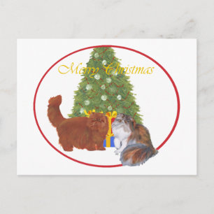Cartes Pour Fêtes Annuelles Chats Persans Rouges et Calico Noël