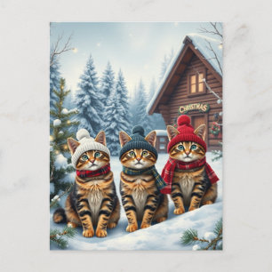 Cartes Pour Fêtes Annuelles Chats tabby en tenue de pré-hiver et chapeau d'hiv