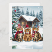 Cartes Pour Fêtes Annuelles Chats tabby en tenue de préparation à l'hiver et c (Devant / Derrière)