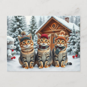 Cartes Pour Fêtes Annuelles Chats tabby en tenue de winter chic et chapeau d'h