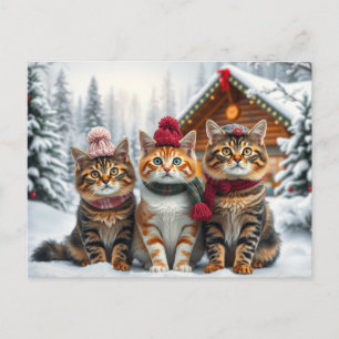 Cartes Pour Fêtes Annuelles Chats tabby en tenue de winter chic et chapeau d'h