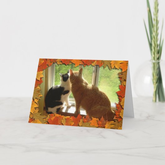 Cartes Pour Fêtes Annuelles Chats Tabby Orange d'automne (Devant)