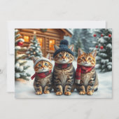 Cartes Pour Fêtes Annuelles Chats tigrés en tenue pré-préparatoire d'hiver et (Devant)