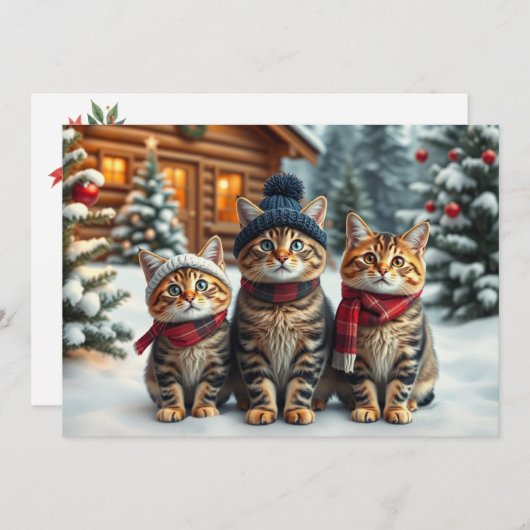 Cartes Pour Fêtes Annuelles Chats tigrés en tenue pré-préparatoire d'hiver et (Devant / Derrière)
