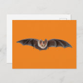Cartes Pour Fêtes Annuelles Chauve-souris Pipistrellus pipistrellus Illustrati (Devant / Derrière)