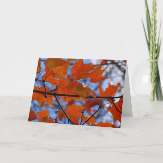 Cartes Pour Fêtes Annuelles Cheerful Autumn (Devant)