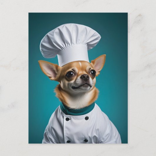 Cartes Pour Fêtes Annuelles Chef Chihuahua (Devant)
