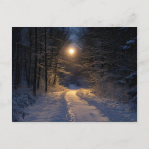 Cartes Pour Fêtes Annuelles Chemin forestier enneigé au clair de lune Scénique