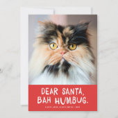 Cartes Pour Fêtes Annuelles Cher Père Noël Bah Humbug Funny Pet Photo (Devant)