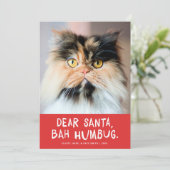 Cartes Pour Fêtes Annuelles Cher Père Noël Bah Humbug Funny Pet Photo (Debout devant)