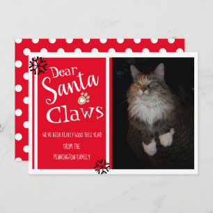 Cartes Pour Fêtes Annuelles Cher Père Noël Claws Fun Cat Photo