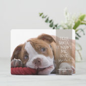 Cartes Pour Fêtes Annuelles Cher Père Noël Good Dog Photo Noël Salutation (Debout devant)