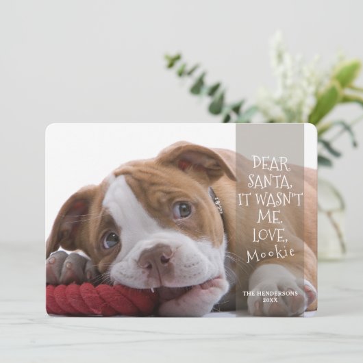 Cartes Pour Fêtes Annuelles Cher Père Noël Good Dog Photo Noël Salutation (Debout devant)