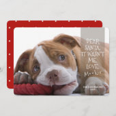 Cartes Pour Fêtes Annuelles Cher Père Noël Good Dog Photo Noël Salutation (Devant / Derrière)