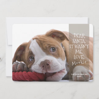 Cartes Pour Fêtes Annuelles Cher Père Noël Good Dog Photo Noël Salutation