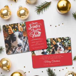 Cartes Pour Fêtes Annuelles Cher Père Noël J'ai essayé chien photo fun Noël