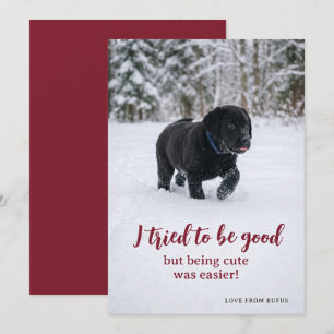 Cartes Pour Fêtes Annuelles Cher Père Noël, j'ai essayé d'être sage Photo