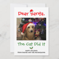 Cher Père Noël, Le Chat L'A Fait Drôle Photo Anima