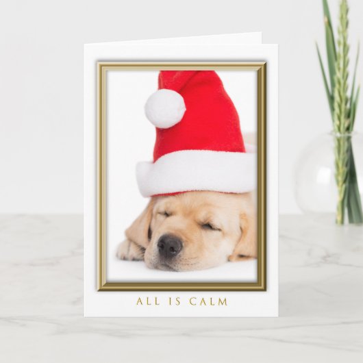 Cartes Pour Fêtes Annuelles Cher Père Noël Tout est calme Chiot (Devant)